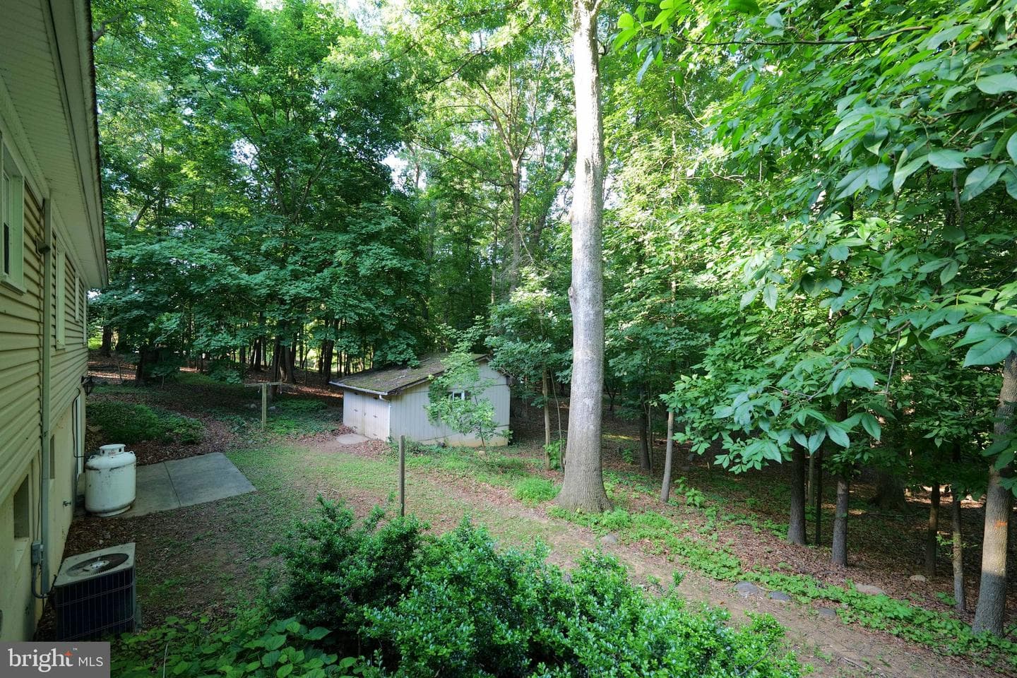 9810 Woodsboro Road photo 31