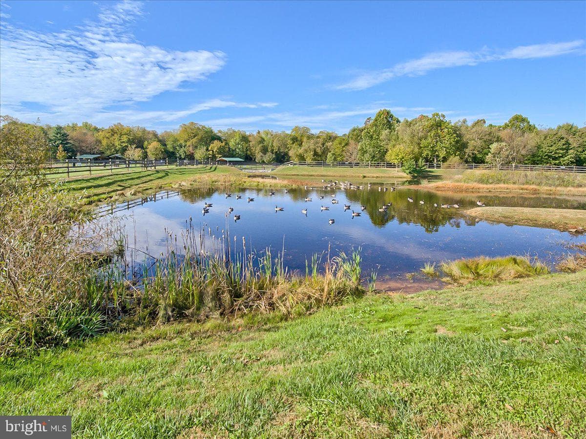 6511 Mallery Court photo 44
