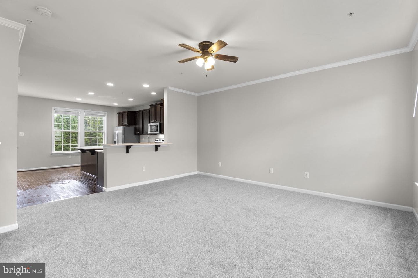 13 Leekyler Place photo 6