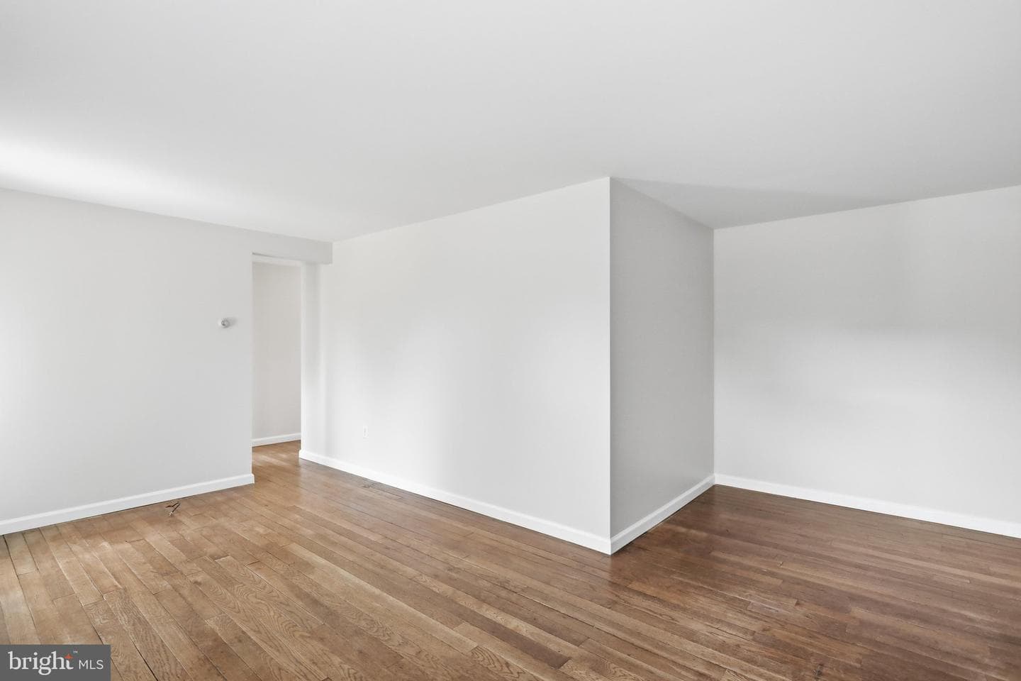 905 Oak Street photo 4