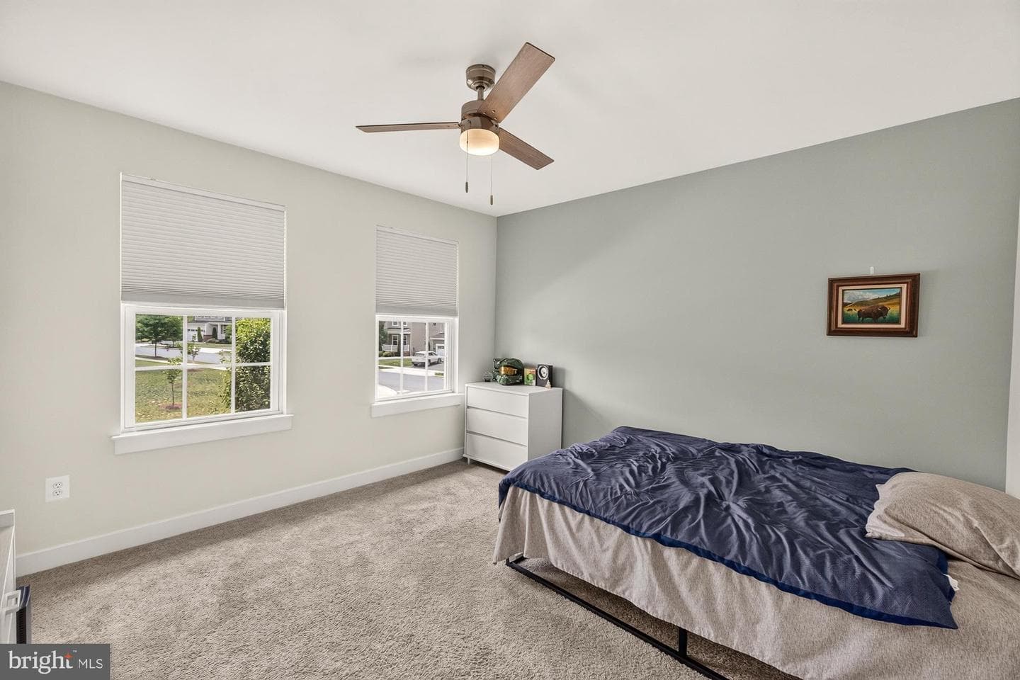 10952 Ginger Lane photo 49