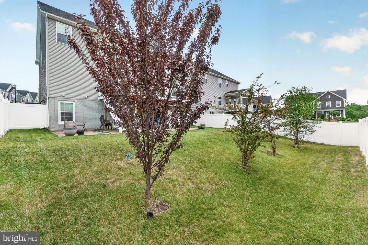 10952 Ginger Lane photo 56