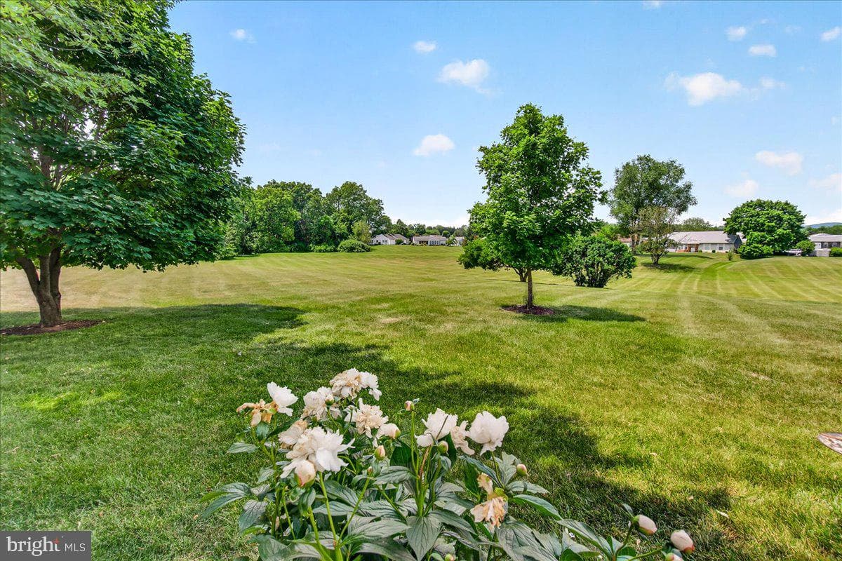 7047 Catalpa Road photo 56