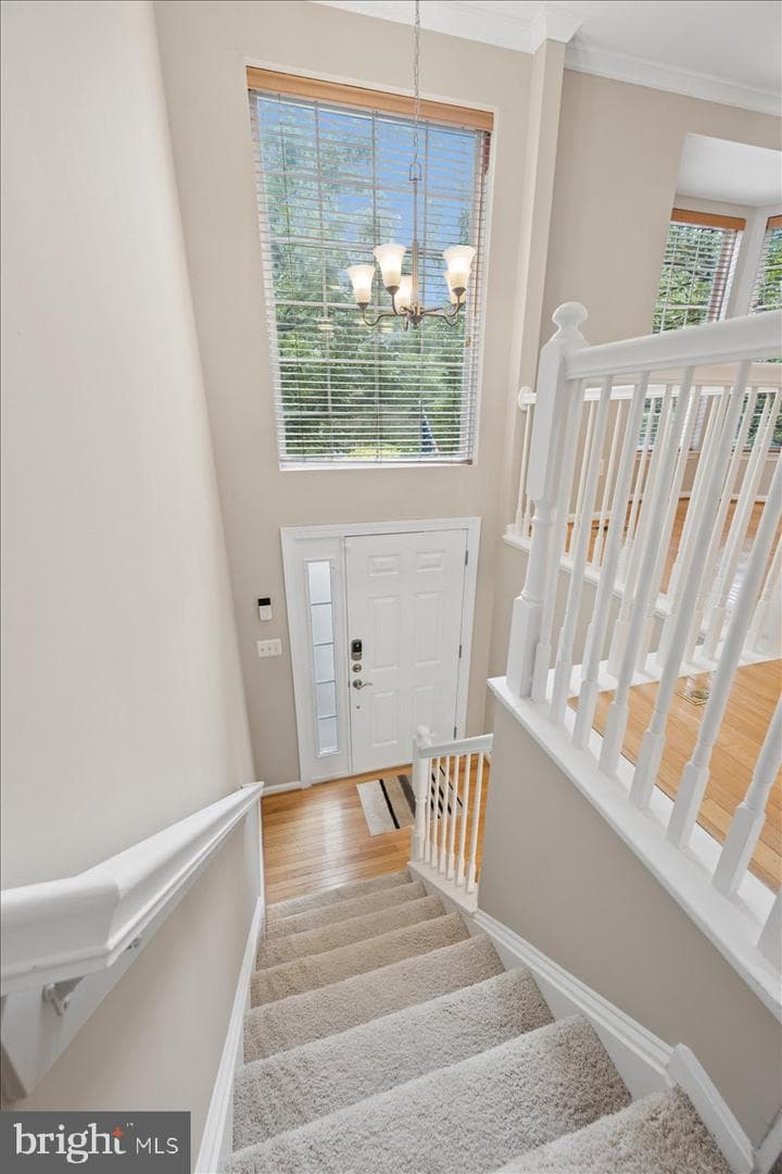 3611 Hope Commons Court photo 5