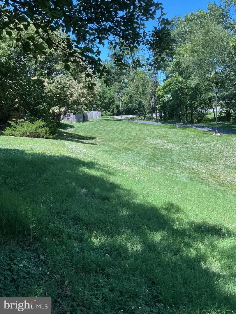 523 Ellison Court photo 64