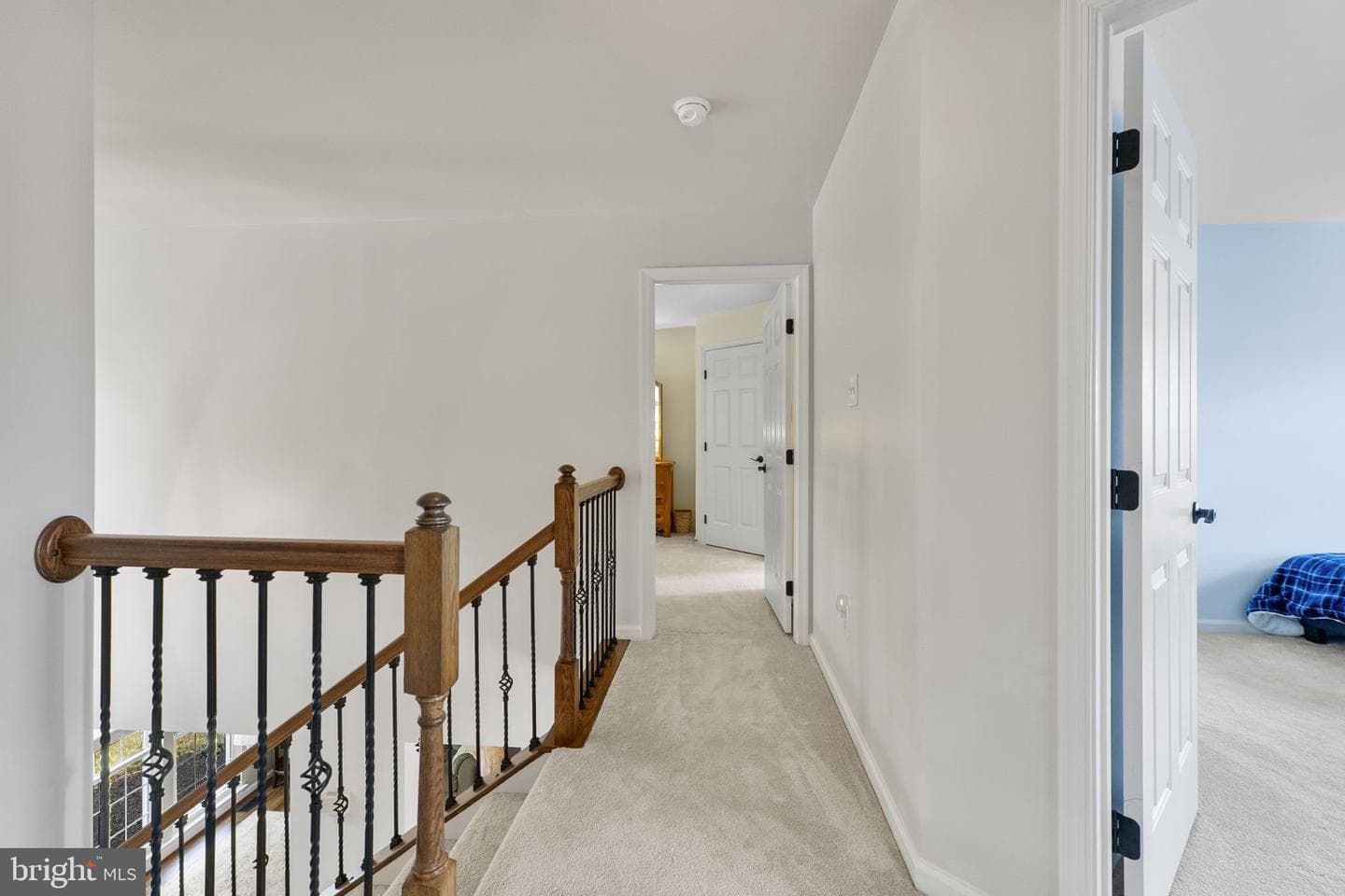 115 Phoenix Court photo 43
