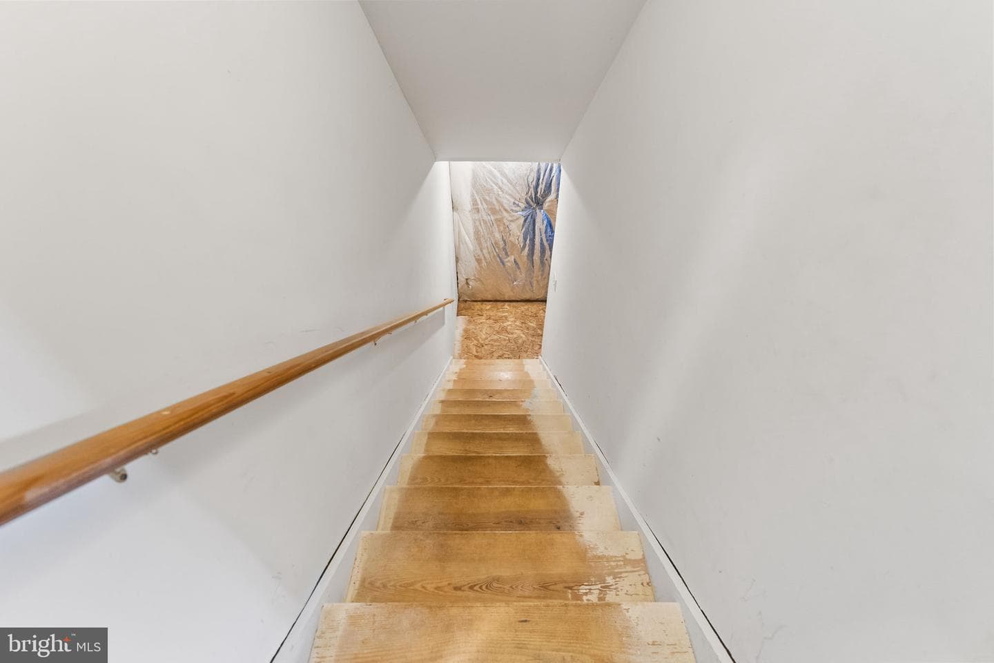 115 Phoenix Court photo 46