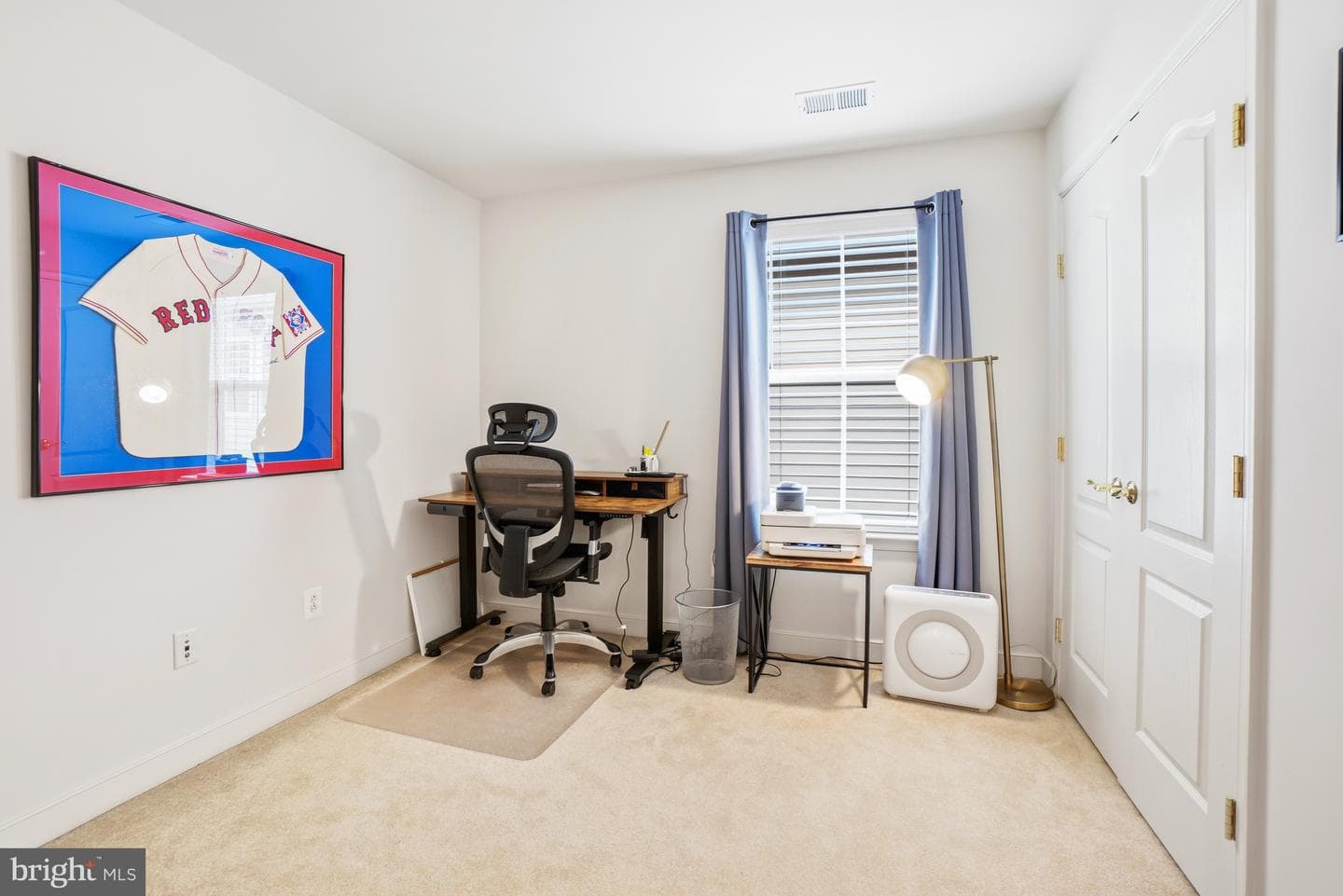 3861 Braveheart Drive photo 23