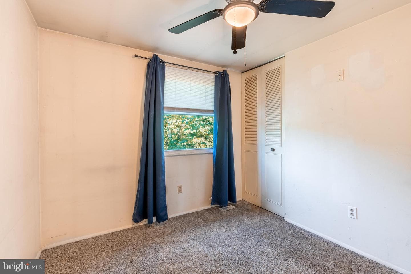 126 Challedon Drive photo 22