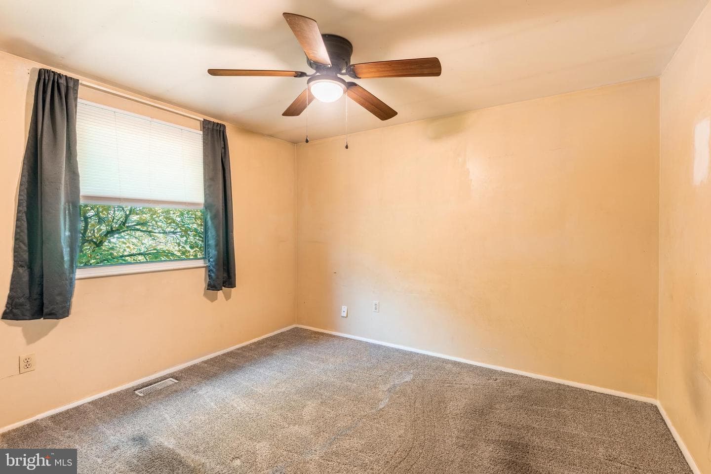 126 Challedon Drive photo 25