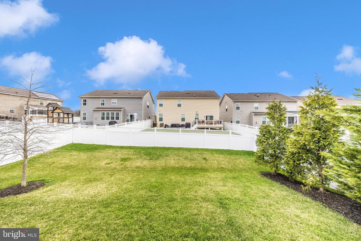 11069 Emerald Crown Drive photo 47