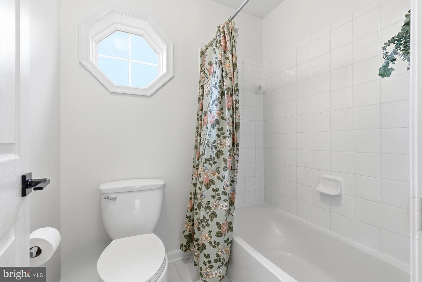 415 William Plummer Street photo 45