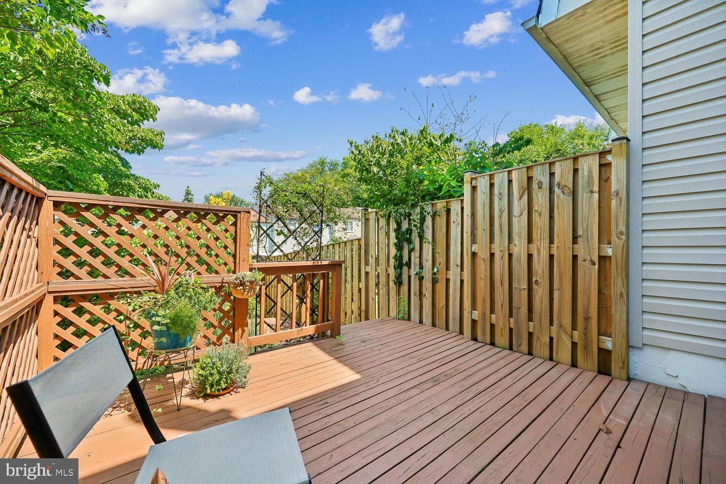 74 Oxford Court photo 11