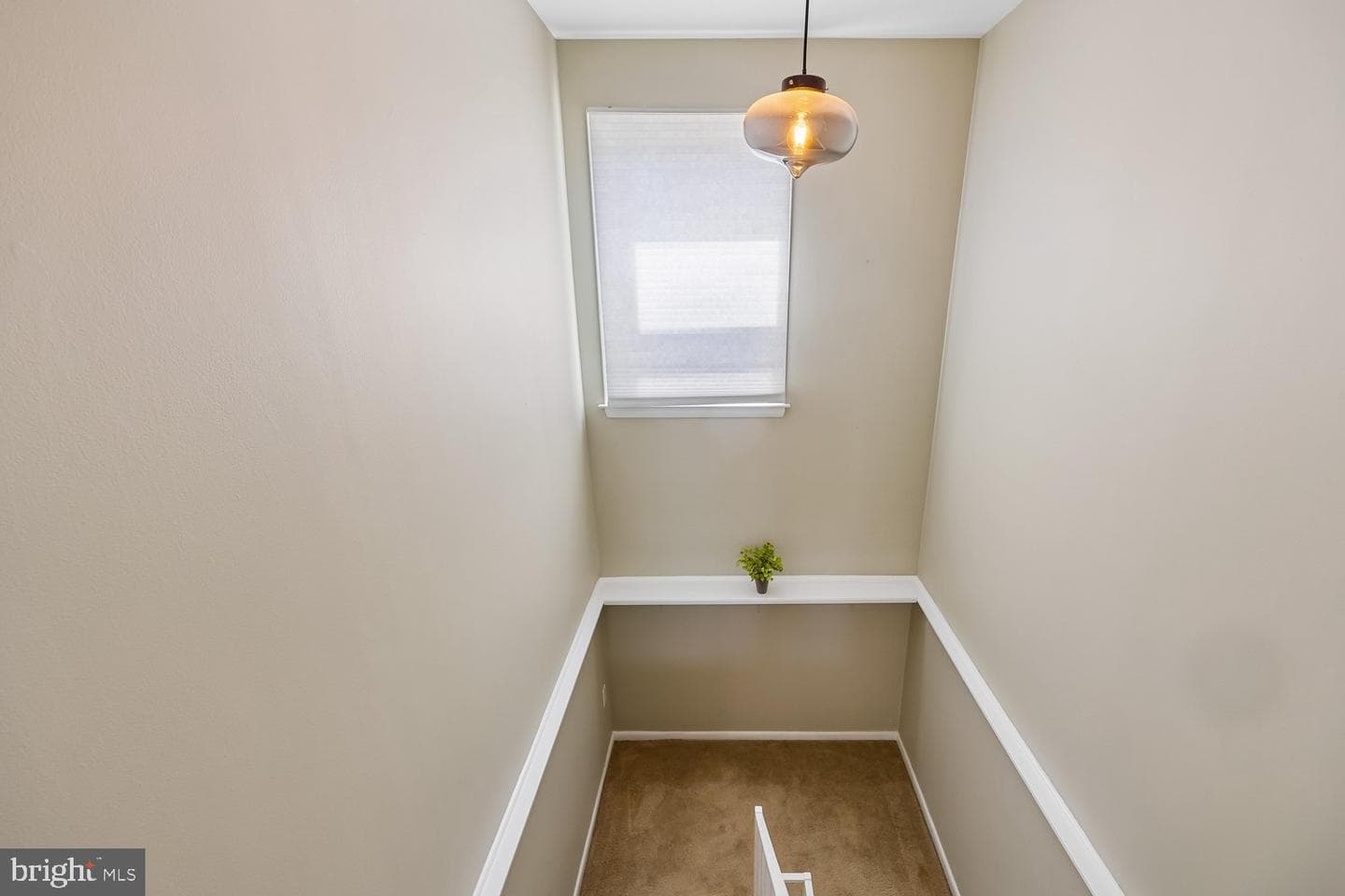 74 Oxford Court photo 24
