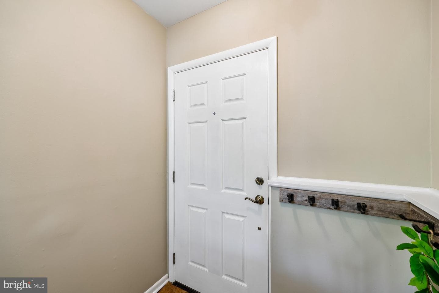 74 Oxford Court photo 4