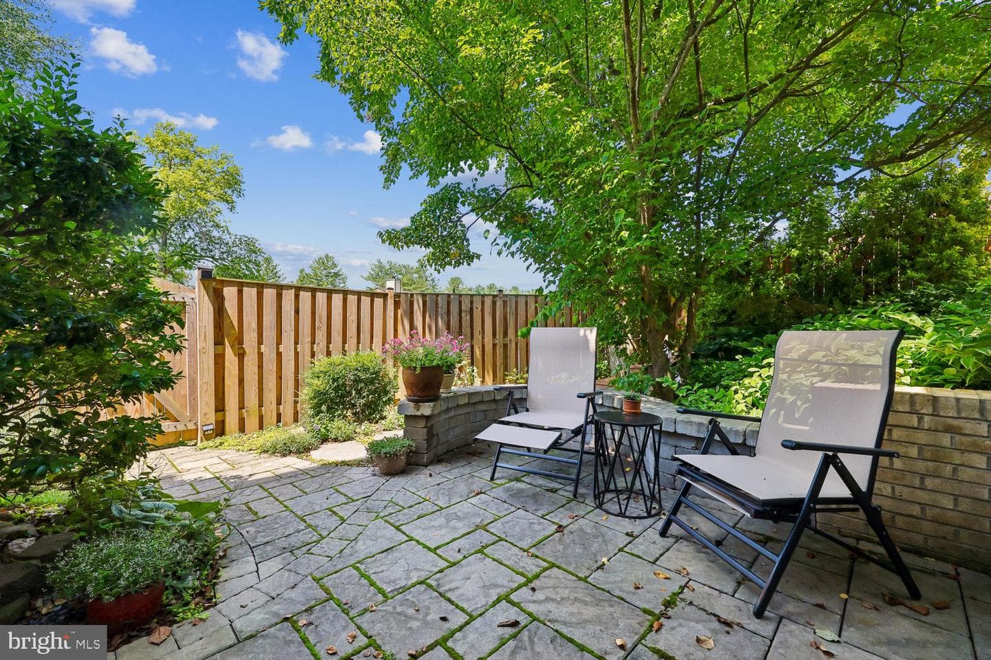 74 Oxford Court photo 46