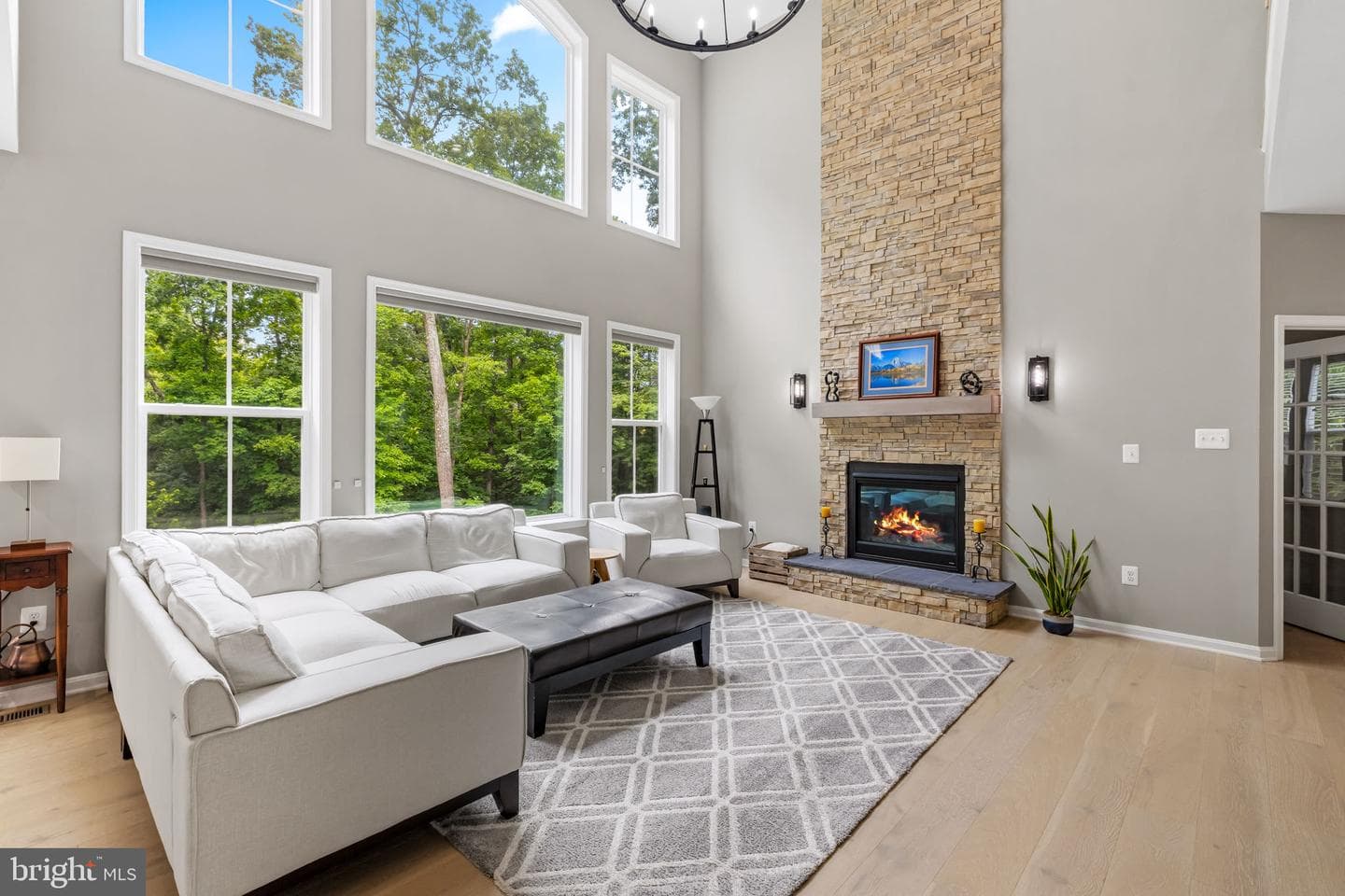 14536 Black Ankle Road photo 3