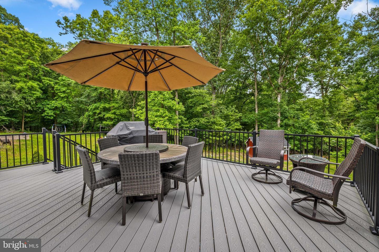14536 Black Ankle Road photo 5
