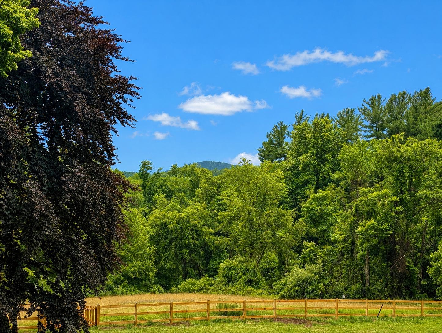 3022 Thurston Road #lot 1, Frederick