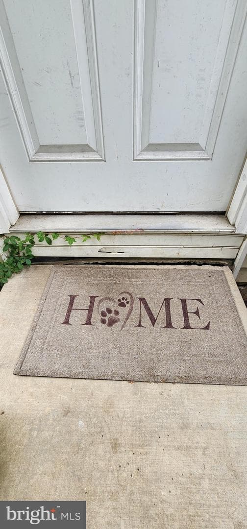 19 Virginia Avenue photo 3
