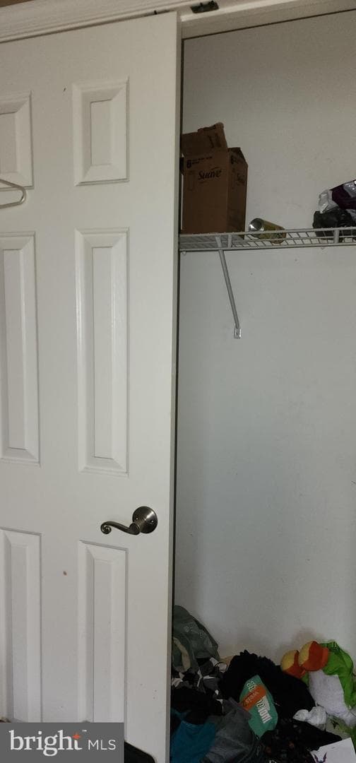 19 Virginia Avenue photo 47