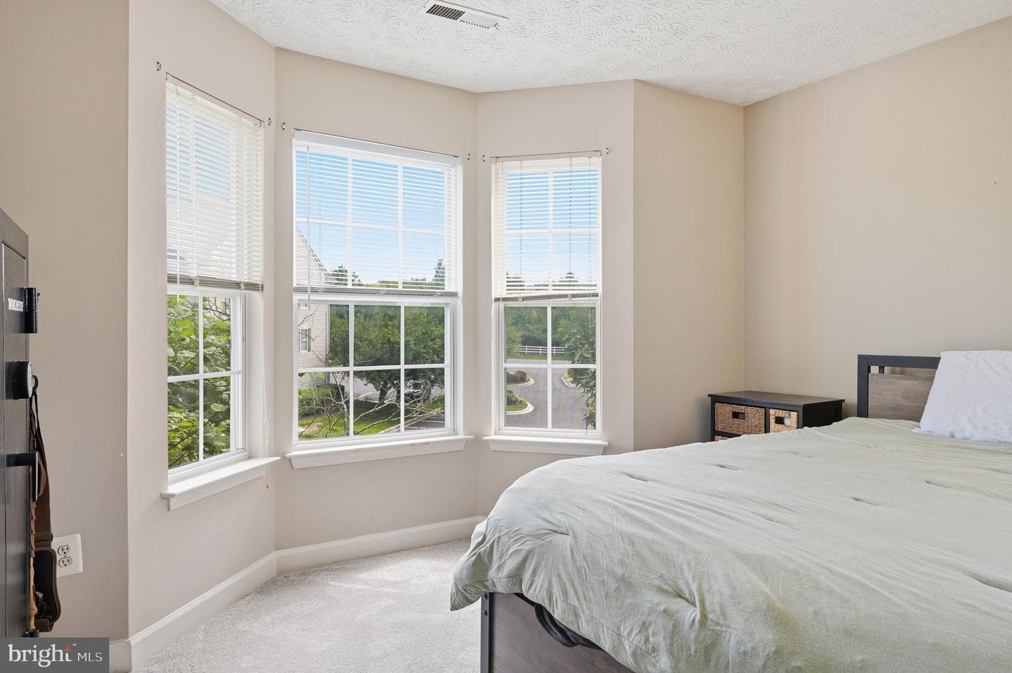6505 Springwater Court #7401 photo 16