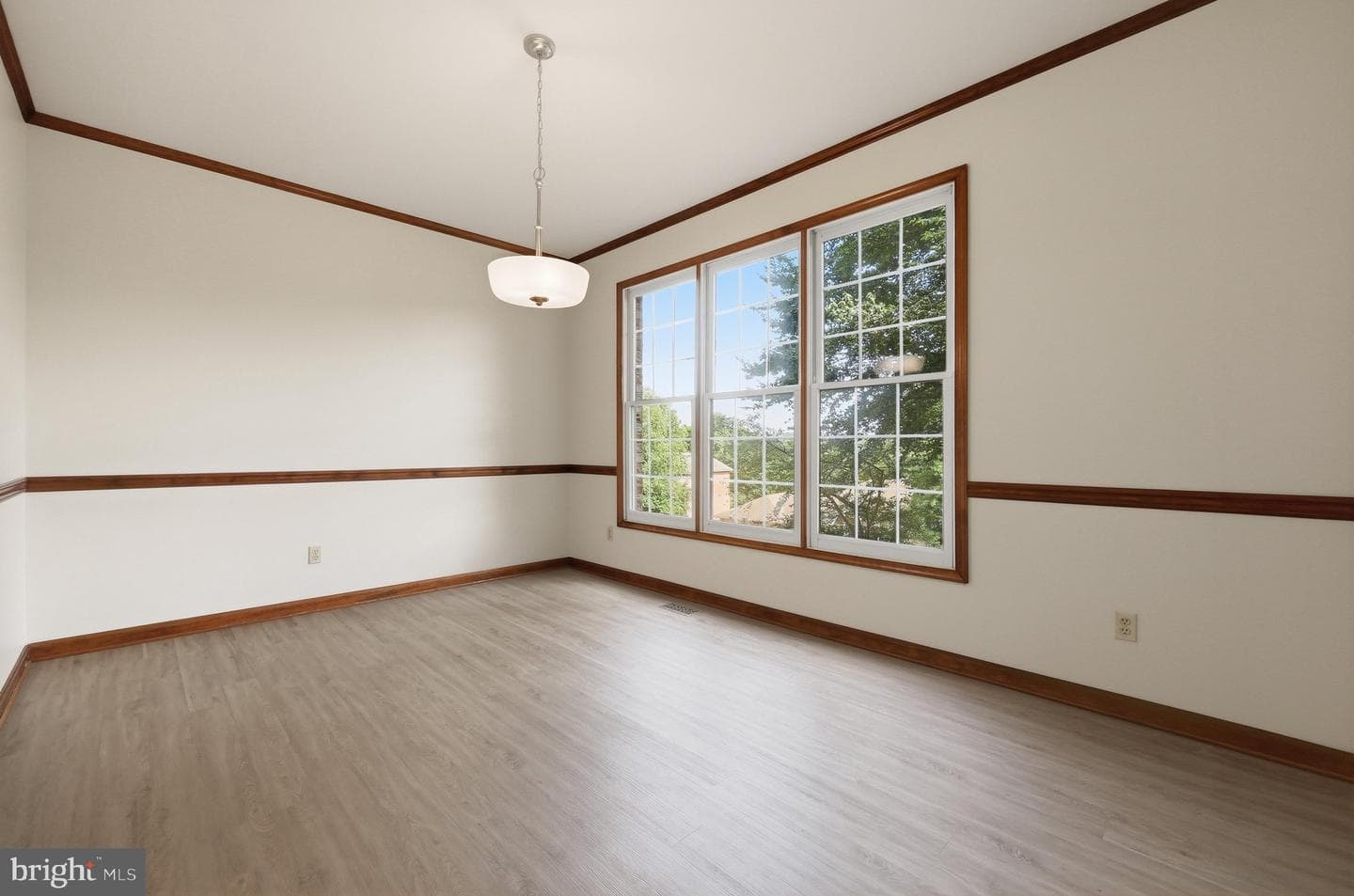 10014 Picea Court photo 20