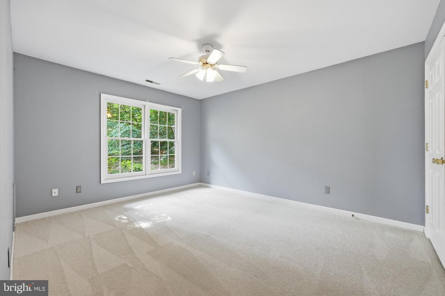 10014 Picea Court photo 41