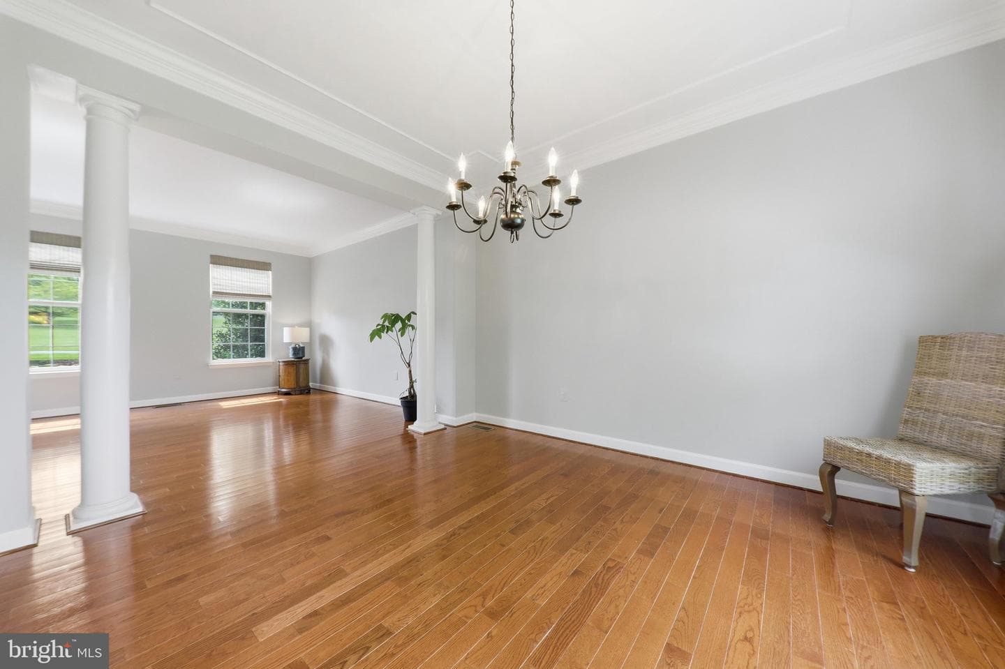 3455 Emys Place photo 10