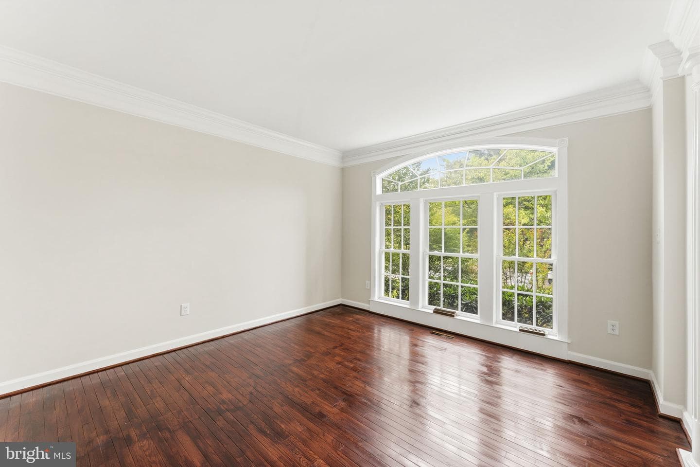 9215 Shafers Mill Drive photo 18