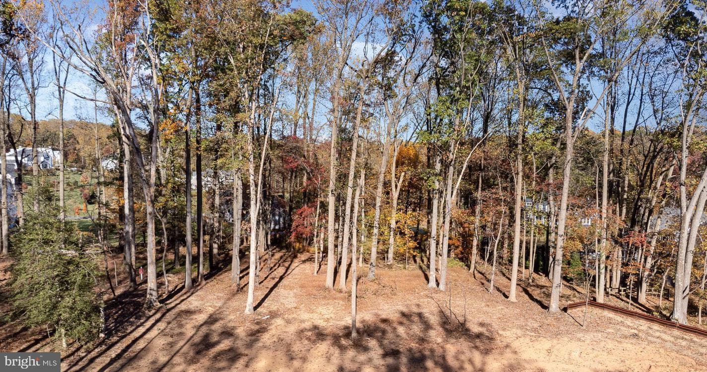 1709 Laurel Brook Road photo 81