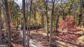 1709 Laurel Brook Road photo 9