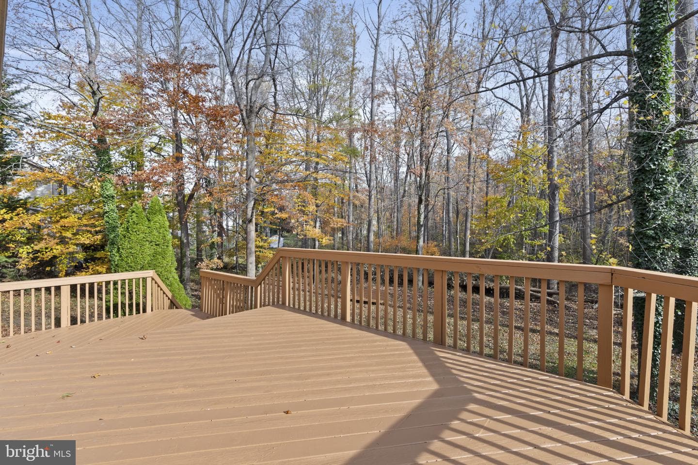 412 Grasmere Drive photo 39