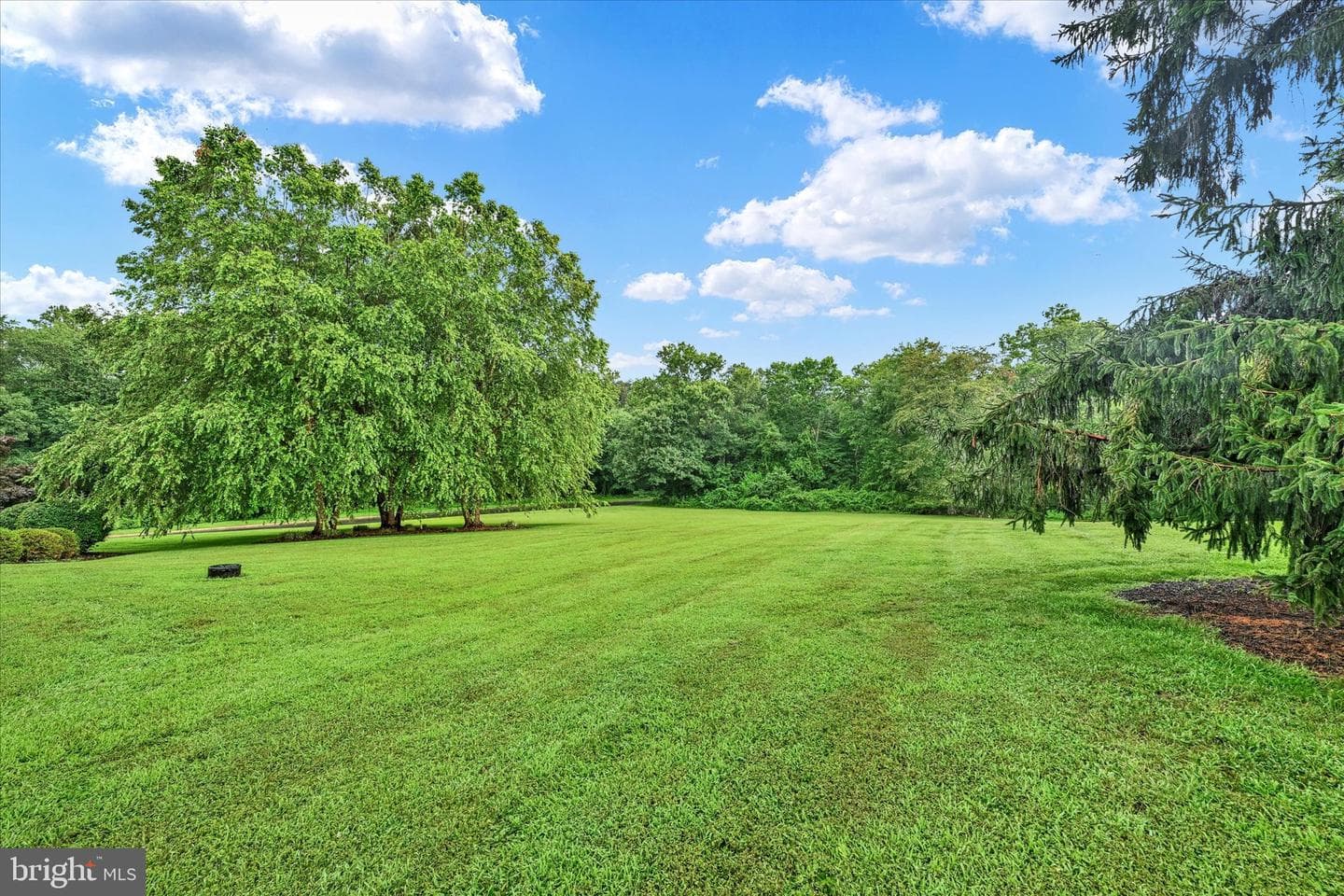 2319 Cool Woods photo 47