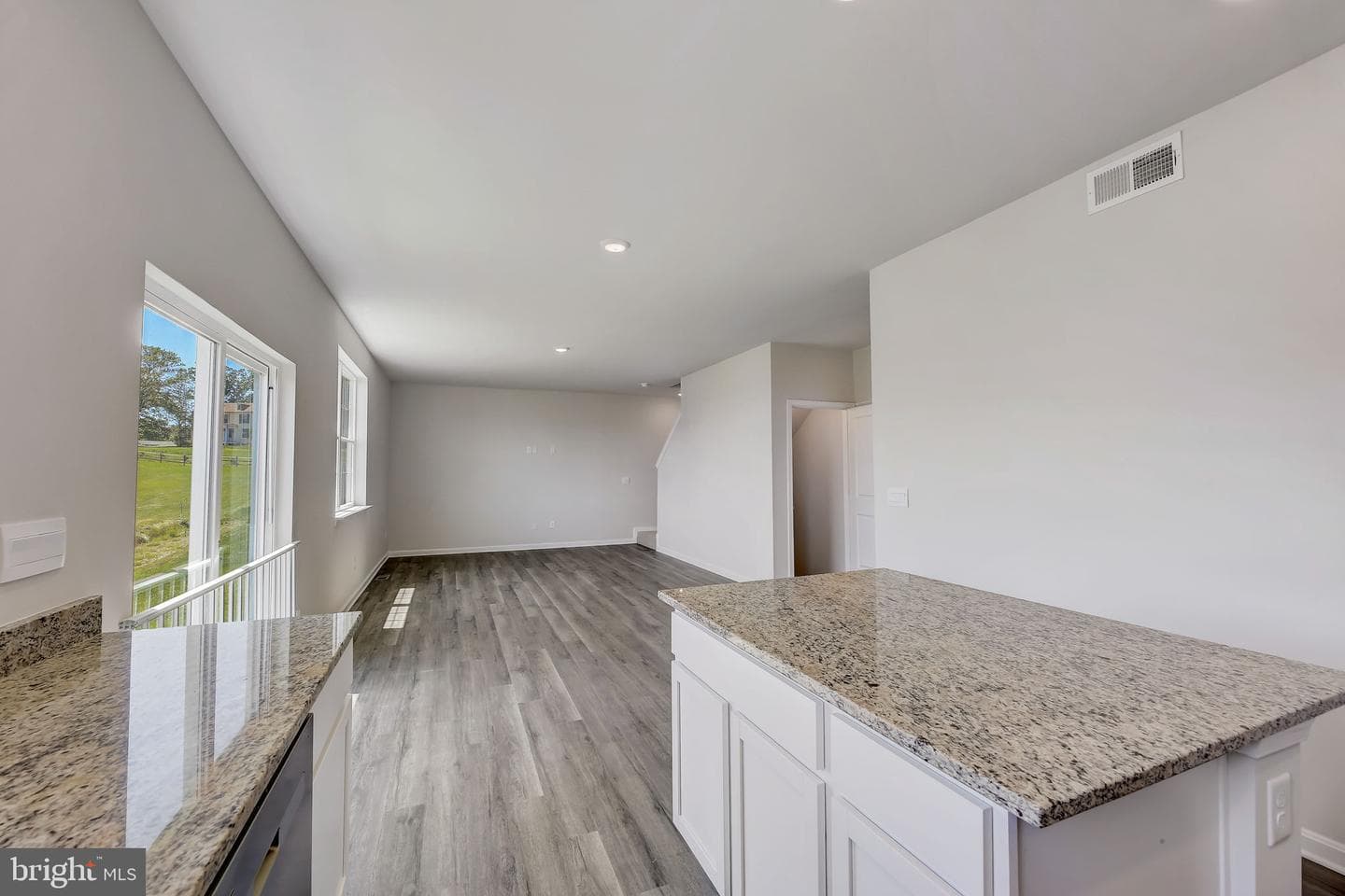 804 Hyssop Court photo 10