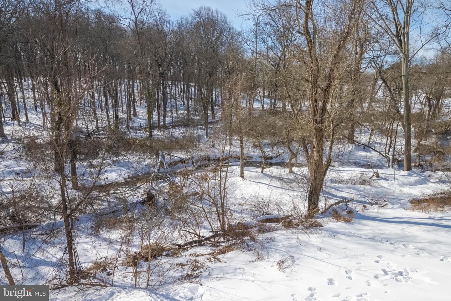 1628 N Bend Road photo 36