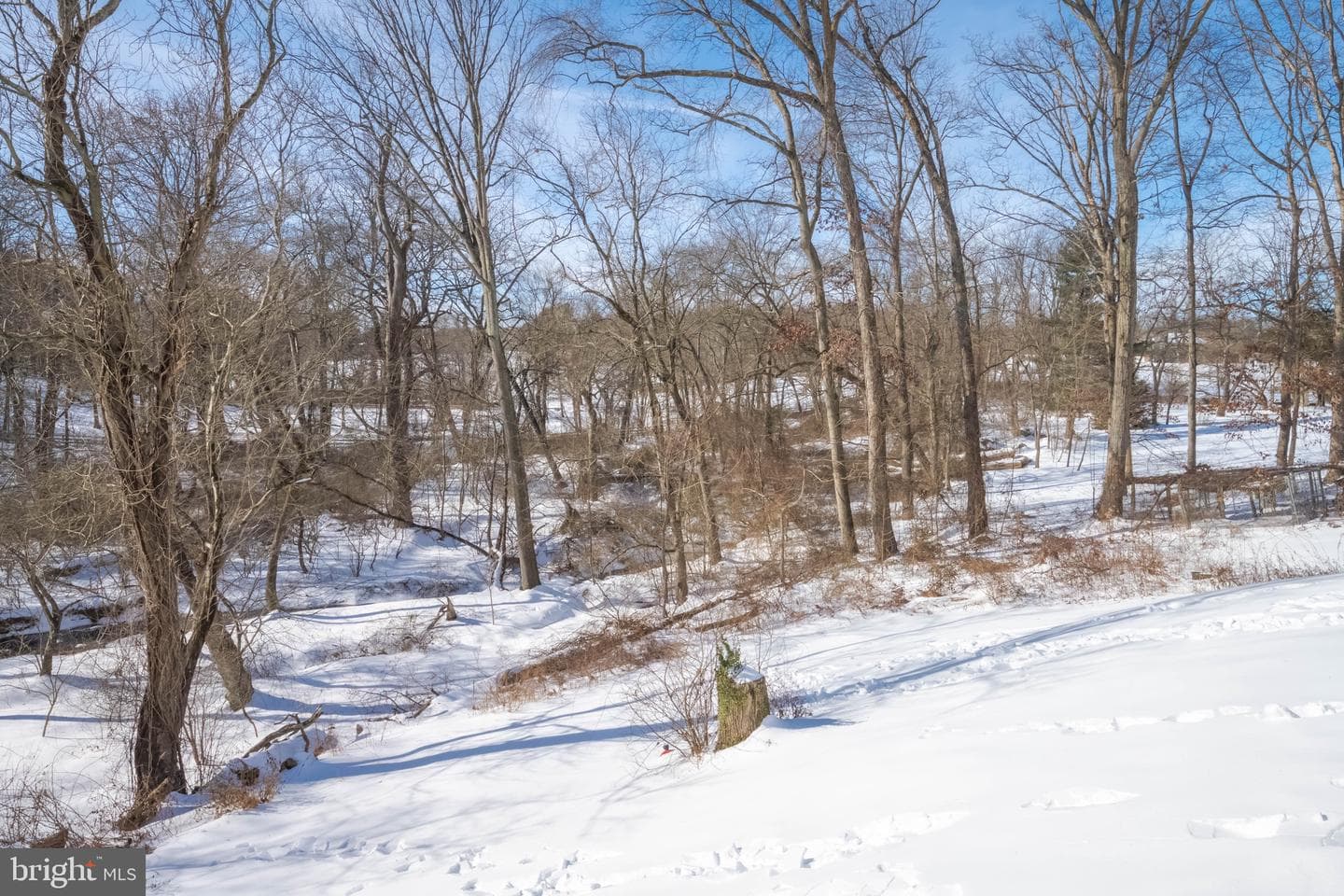 1628 N Bend Road photo 37