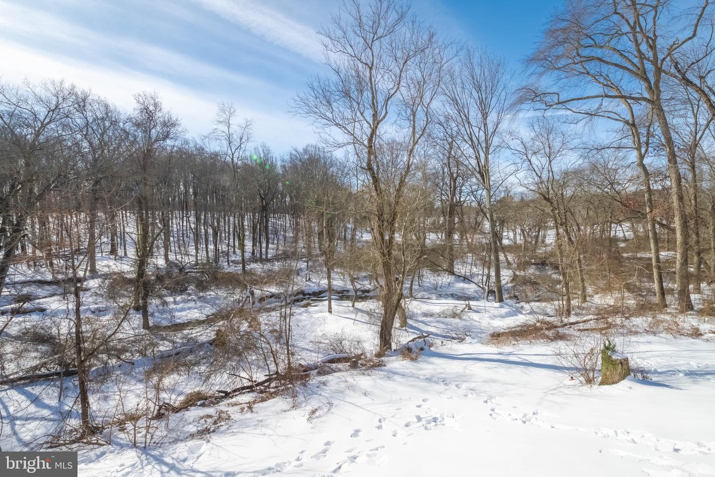 1628 N Bend Road photo 5