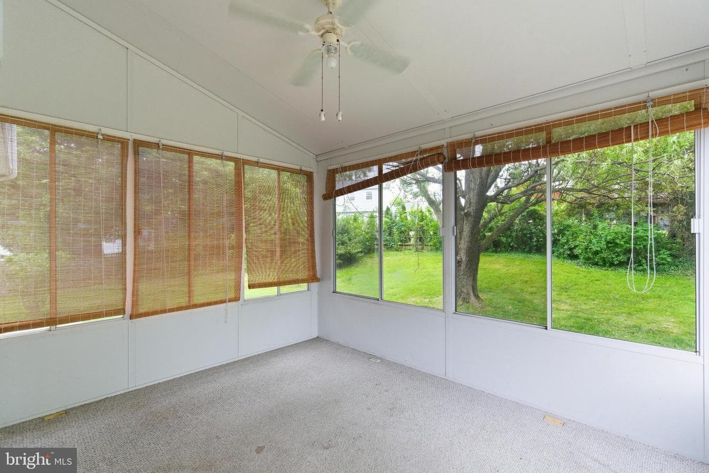 203 Kane Court photo 31