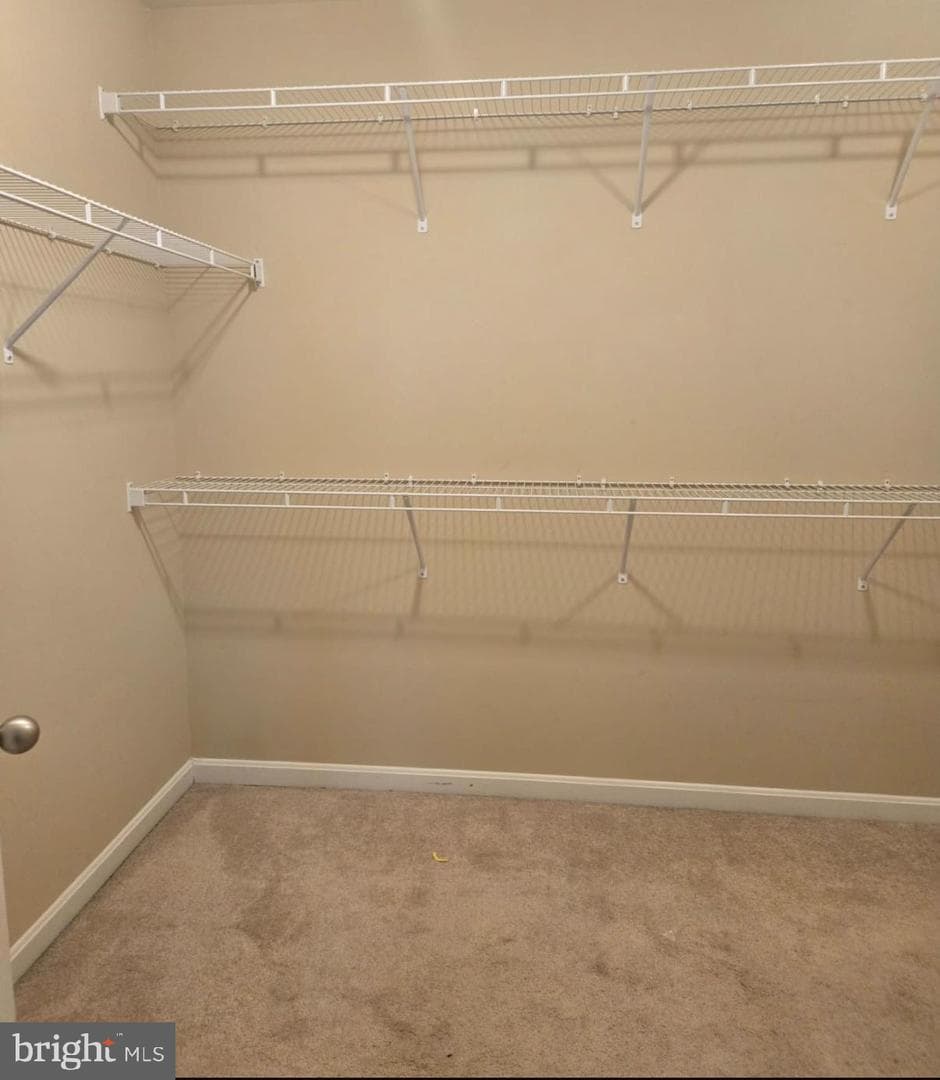 1652 Livingston Drive photo 26