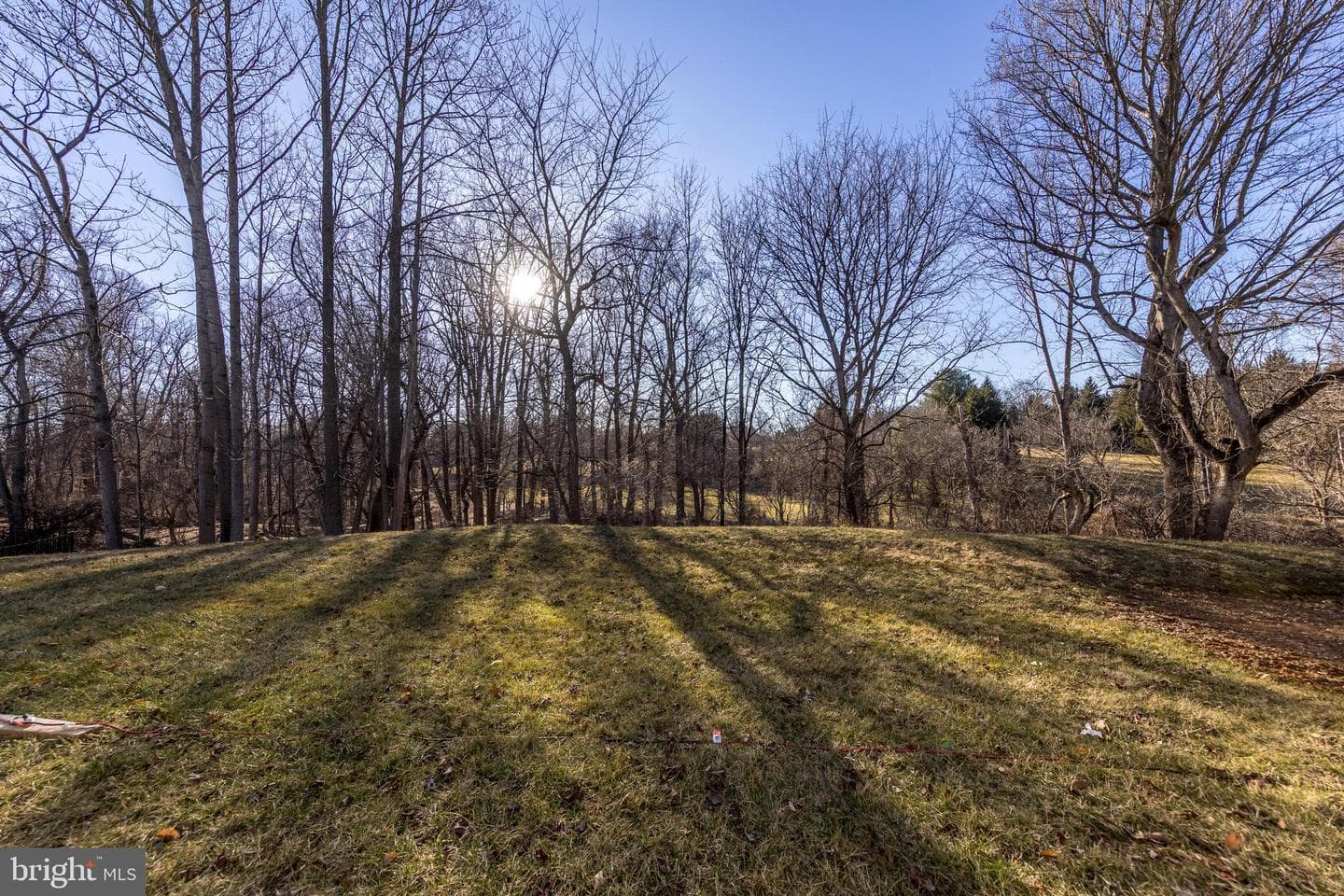 2302 Arthurs Woods Drive photo 9