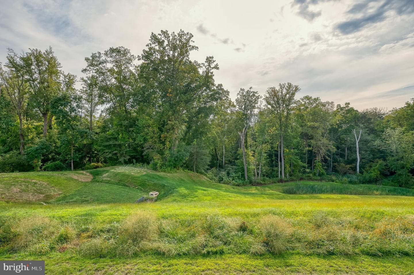 2754 Quicksilver Way photo 47