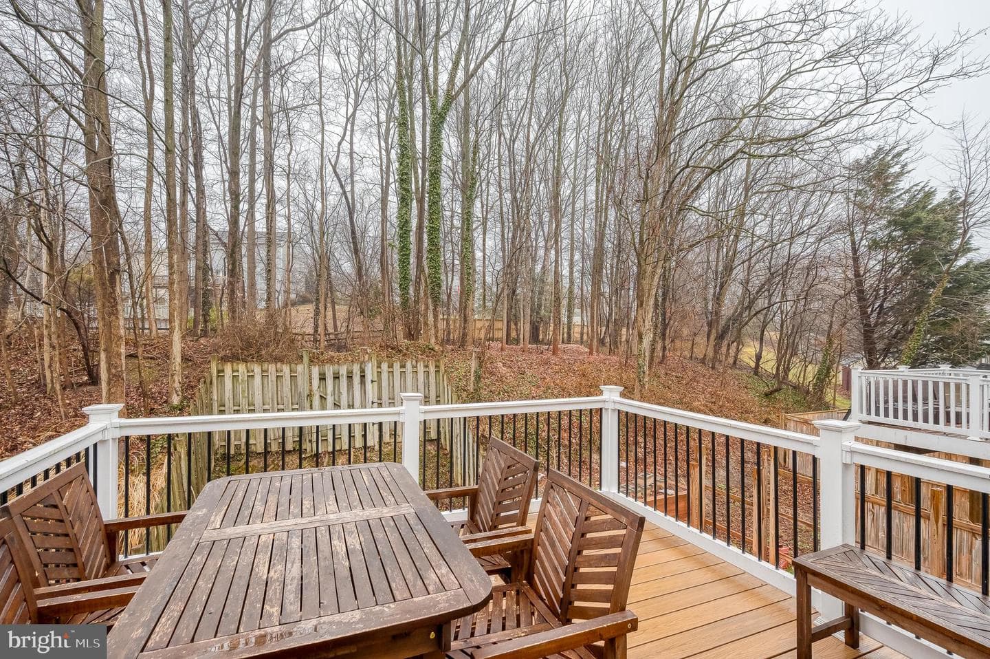 1204 Splashing Brook Drive photo 46