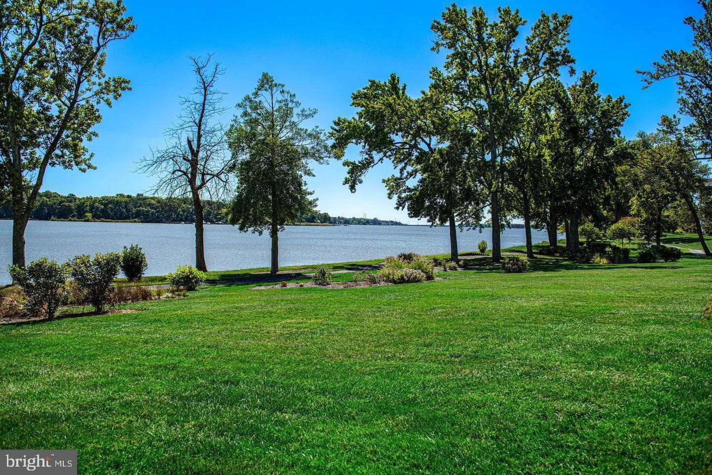 4810 Water Park Drive #4810 photo 49