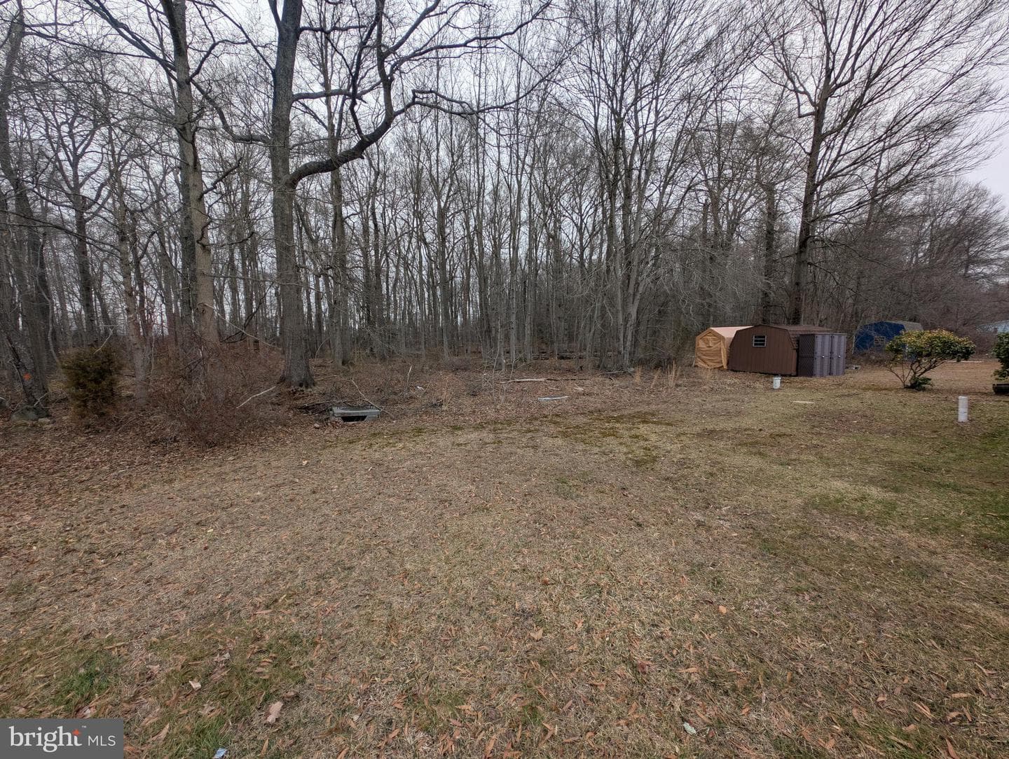 227 Poclain Rd photo 3