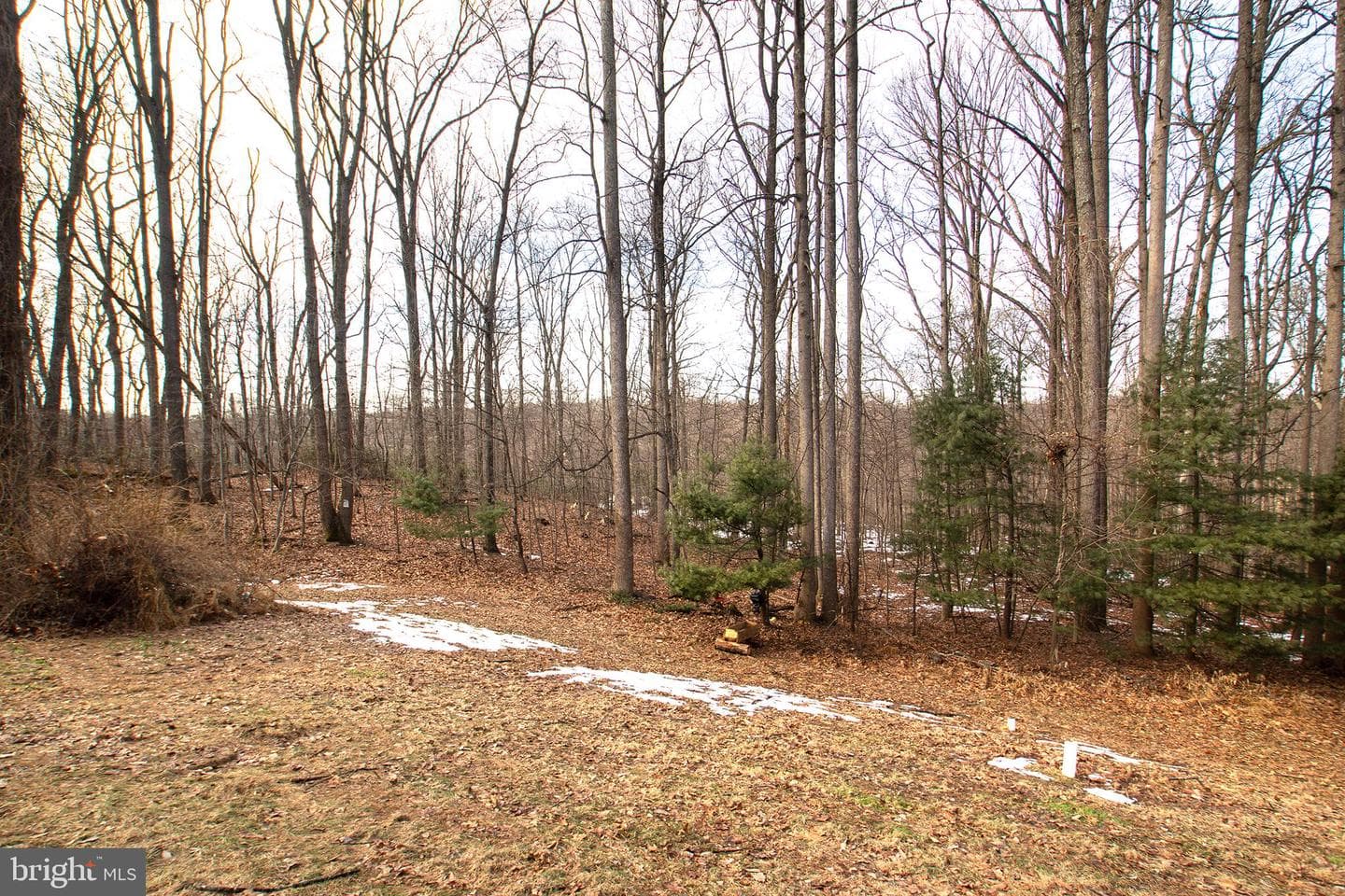 1362 Rockridge Road photo 49