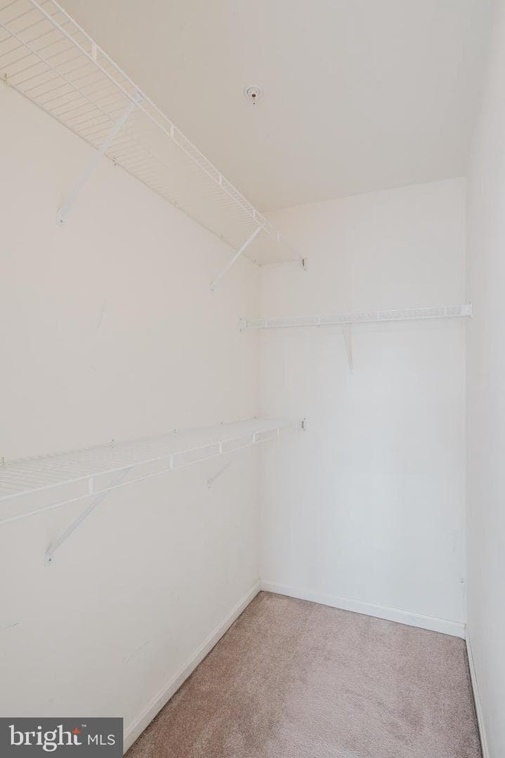 525 Kirkcaldy Way photo 19