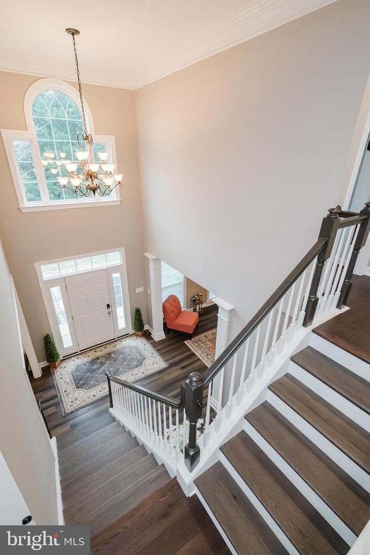 112 Bower Lane photo 8
