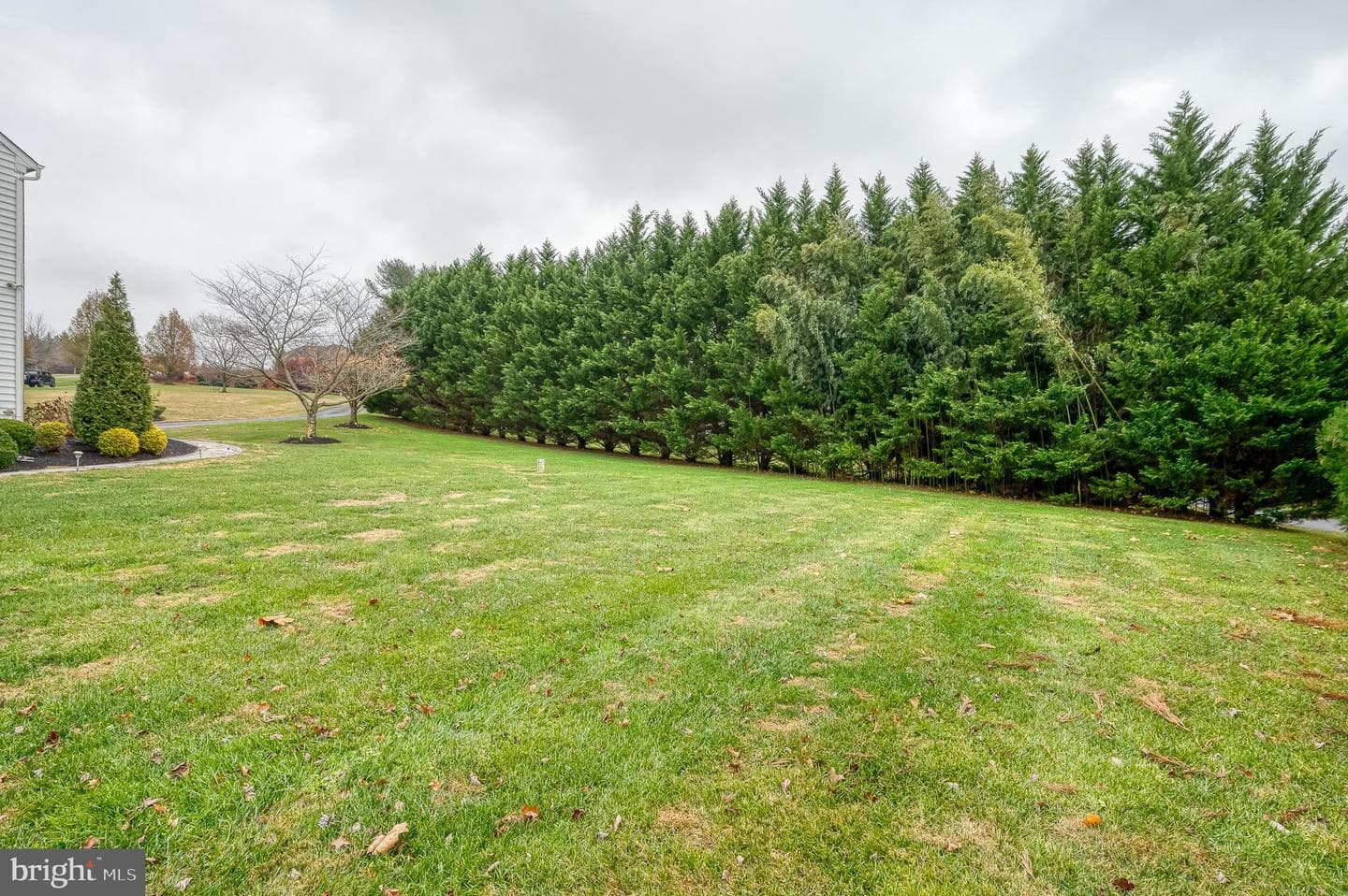 112 Bower Lane photo 87