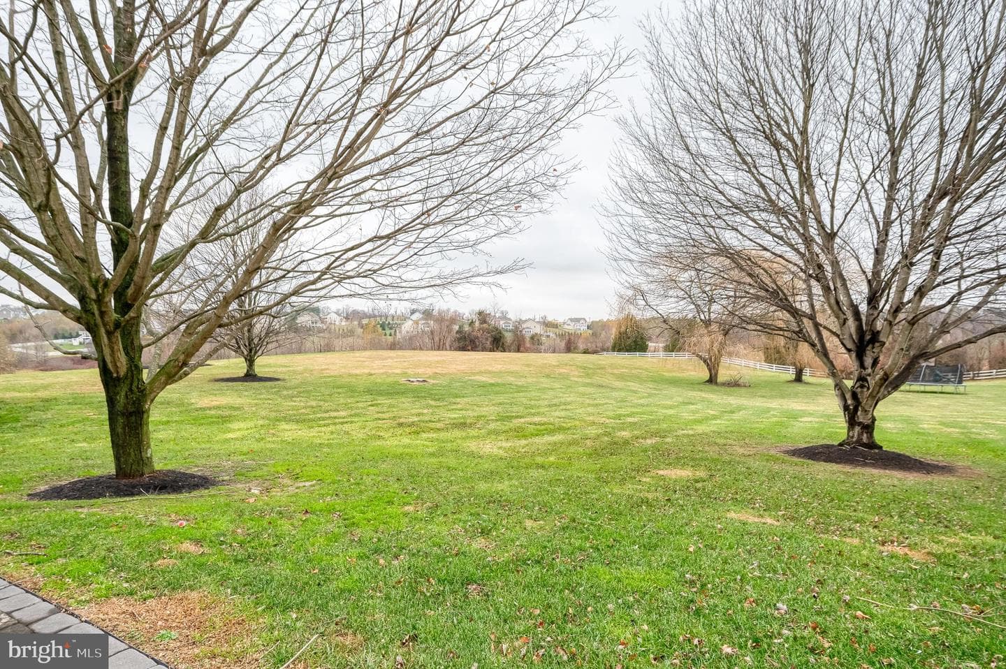 112 Bower Lane photo 89